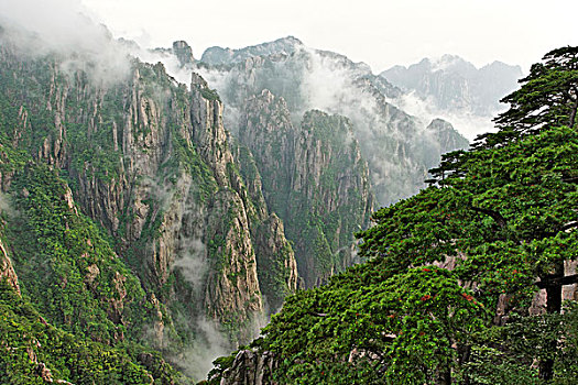 在哪里可以买听华水C1B8D97C5-18975